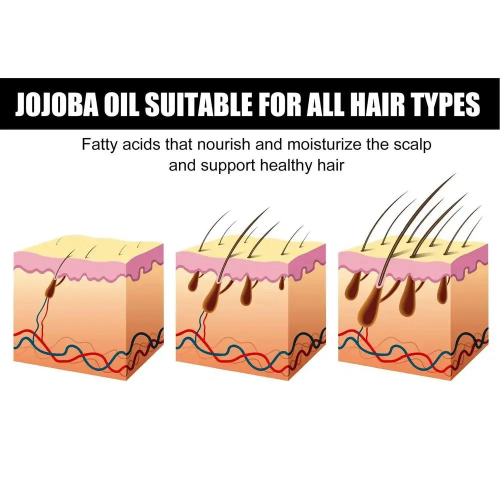 Hair Strengthen Oil Hair Strengthening Mild Oil With Jojoba Dry  Nourishment Oil For Hair Salon Vacation Home Traveling